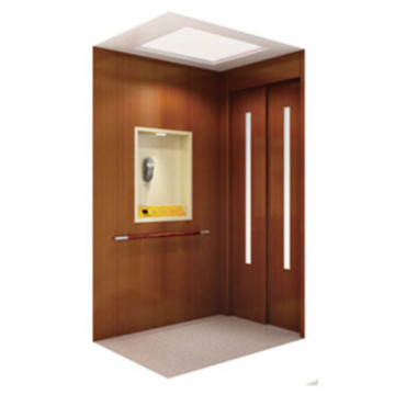 Fjzy-High Quality and Safety Home Lift Fjs-1639